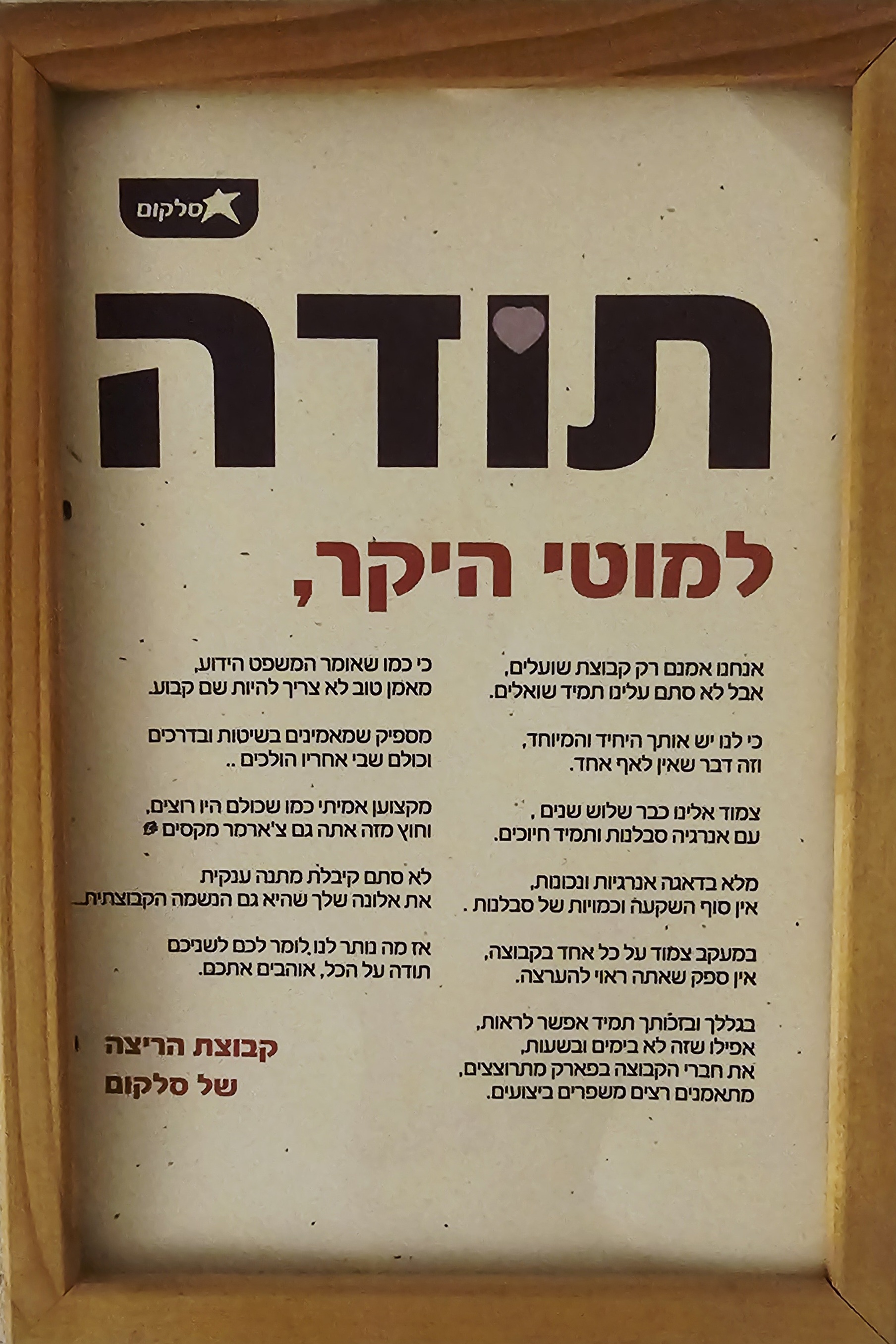 צוות המאמנים: הדרך שלכם להצלחה
